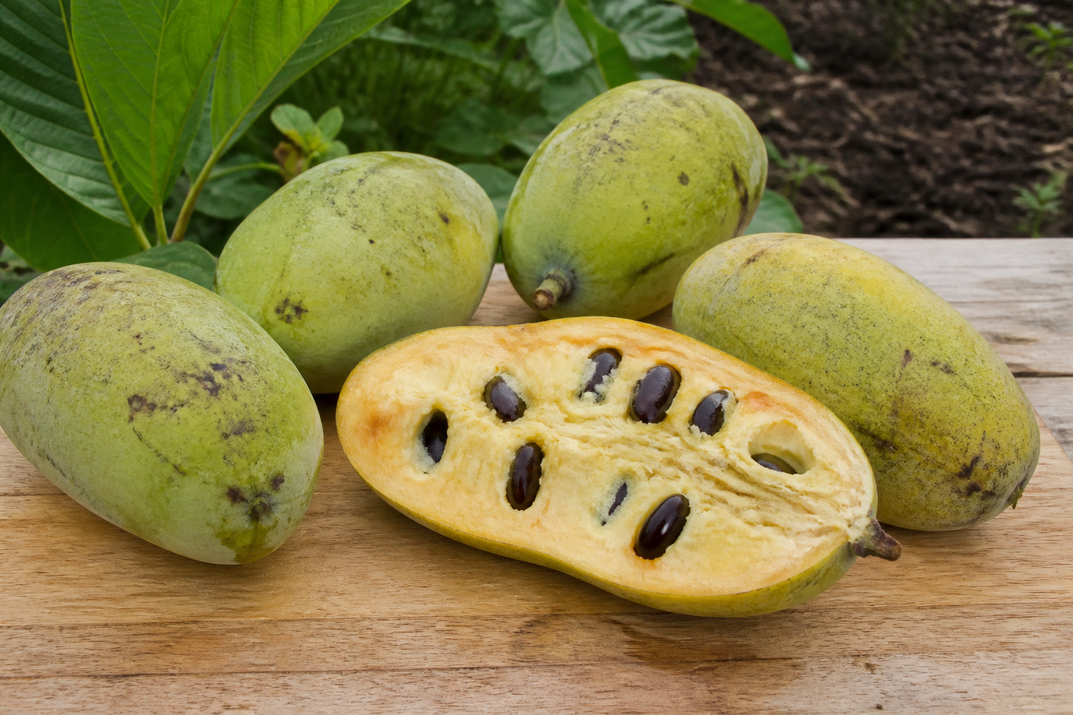 Pawpawfrukt med gult fruktkött och mörka frön